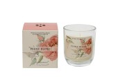 Decoris Geurkaars in glas Peony Blush 20% Shea butter wax dia7,8x9cm 20 branduren