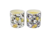 Decoris Citronellacaars in Citroen dessin keramiek pot dia6,7x7cm 11 branduren 2 assorti