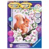 Ravensburger Schilderen op nummer Eekhoorn in de lente