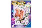 Ravensburger Peinture par numéros Écureuil au printemps