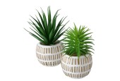 Boltze Home Kunstplant vetplant kunststof 9x9x13,3cm 2 assorti