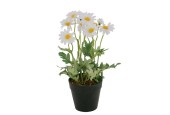 Boltze Home Potplant Kamille 15x15x28cm
