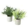 Boltze Home kunstplant in 2 uitvoeringen  Rozemarijn of Varen 2 assorti