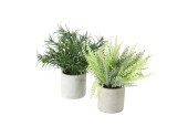 Boltze Home kunstplant in 2 uitvoeringen  Rozemarijn of Varen 2 assorti