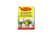 Aeroxon Gele insectenvallen voor kamerplanten doosje a 10 stuks