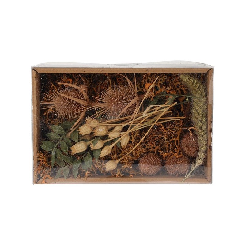 Mélange de fleurs séchées en boîte Nature