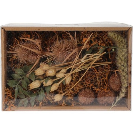 Mélange de fleurs séchées en boîte Nature