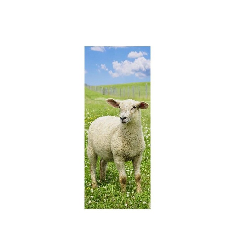 Banner Schaap Simon 75x180cm
