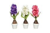 Decoris Jacinthe en pot polyester 7x7xH25cm