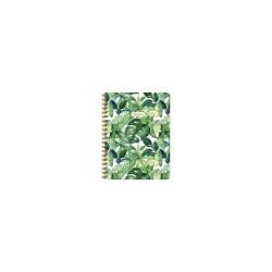 Carnet de feuilles Deltas (lignes) livre à spirale