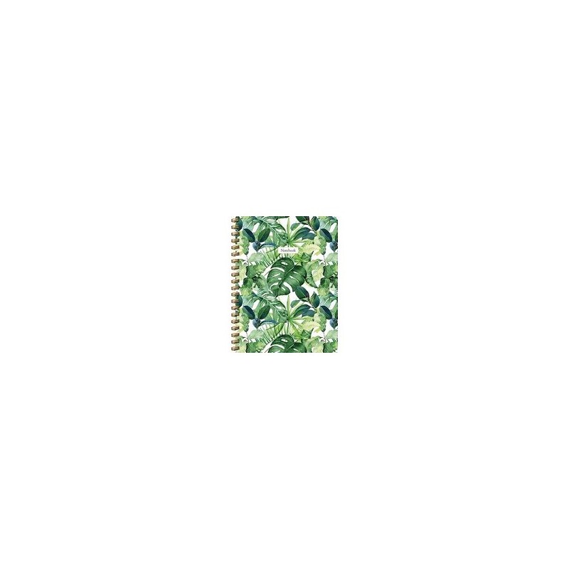 Carnet de feuilles Deltas (lignes) livre à spirale