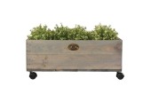Esschert design Jardinière en bois d'épicéa sur roulettes 39x59xh24,7cm (hors plantes)