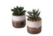 Boltze Home Kunstplant Jaron in keramieken pot 7x11cm