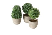 Boltze Home Plante artificielle Buxus en pot H14cm