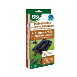 Pièges à araignées collants BSI 6