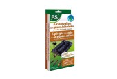 Pièges à araignées collants BSI 6