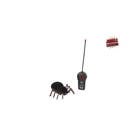 Jungle Expedition RC creepy spin