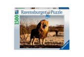 Puzzle Ravensburger Le Lion. Le roi des bêtes 1500 pièces