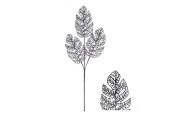 Branche de Monstera avec feuille pailletée 78cm noir