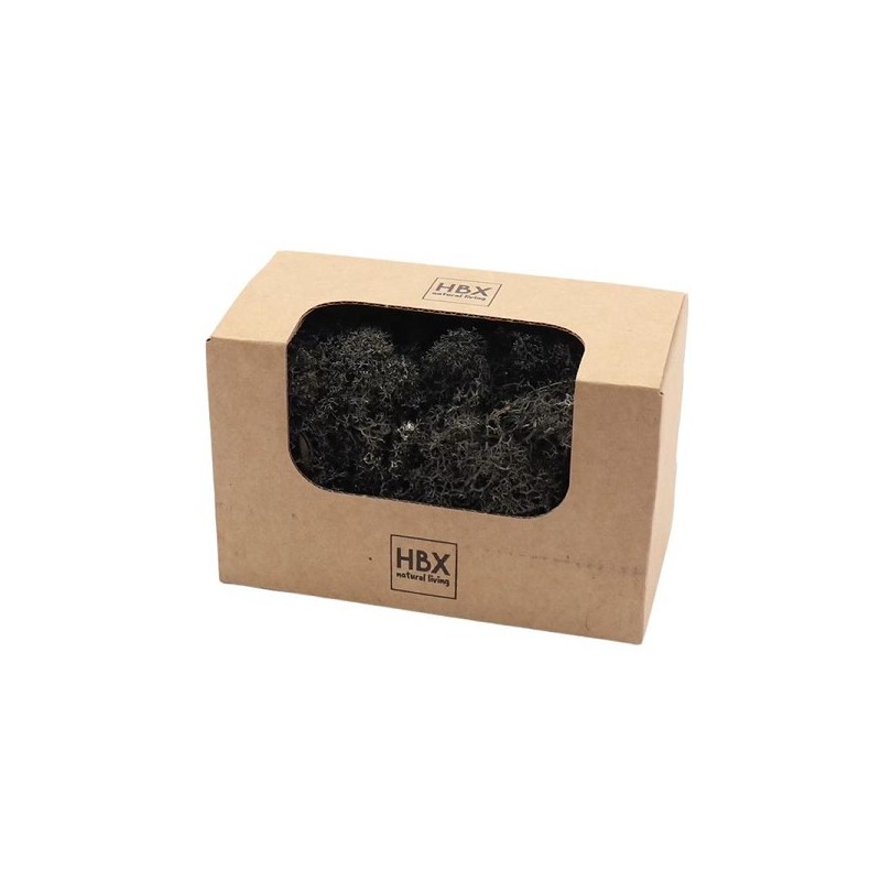 Basic Rendier Mos 50gr zwart