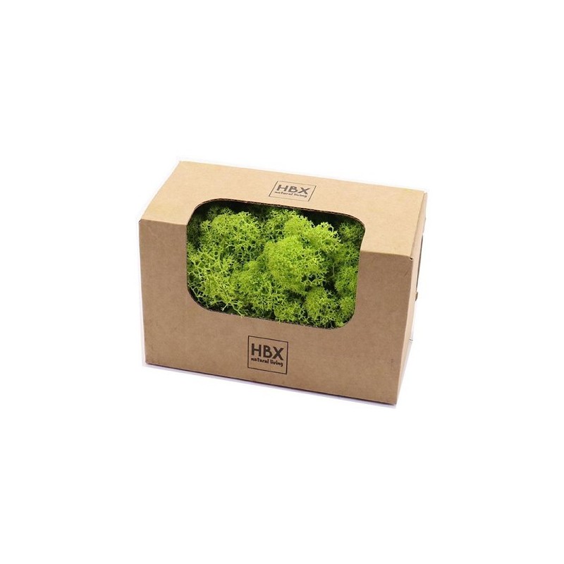 Basic Rendier Mos 50gr groen