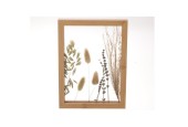 HBX natural living Droogbloemen in lijst 17,5x24x2,5cm naturel