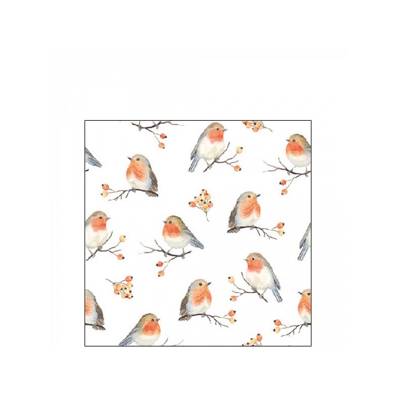 Serviettes Ambiente Famille Robin 25x25cm