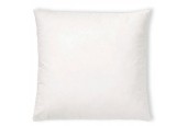 Ambiente Coussin intérieur 40x40cm Remplissage: 100% polyester