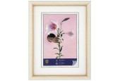 Henzo Cadre photo Lily 15x20cm blanc