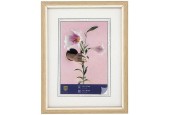 Henzo Cadre photo Lily 15x20cm nature