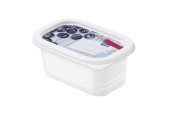 Rotho Domino Coffret congélateur 4 pièces 0,2L décor étiquette inscriptible