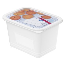 Rotho Domino Diepvriesdozenset 4-delig 1L Etiket Decor Beschrijfbaar
