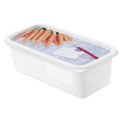 Rotho Domino Diepvriesdozenset 3-delig 1,2L Etiket Decor Beschrijfbaar