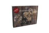 Partylights LED 10 bollen warm wit voor binnen en buiten gebruik,IIP44, snoer lengte 450cm, met timer, verlengbaar