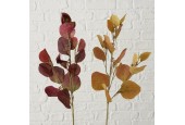 Boltze Home Decotak Eucalyptus 60cm