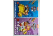 Bloc de couleur Paw Patrol avec autocollants A4