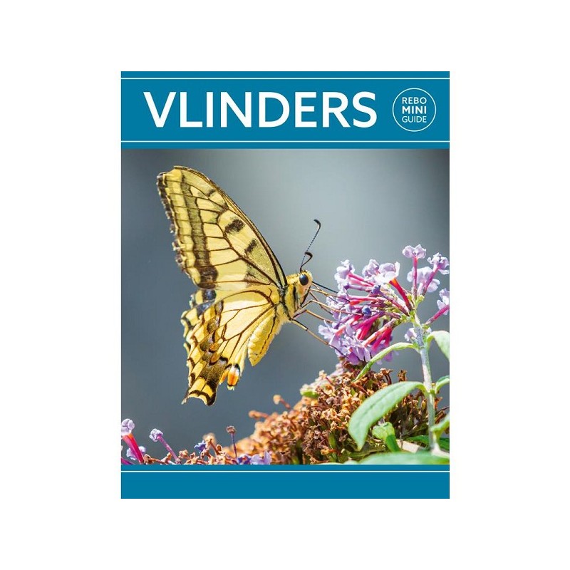 Rebo Rebo Mini guide - Vlinders