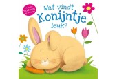 Rebo Wat vindt Konijntje leuk?