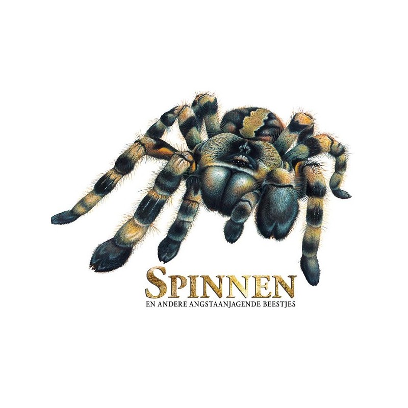 Rebo Spiders et autres créatures terrifiantes