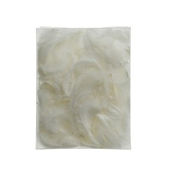 Decoris Veren in zakje wit H5cm