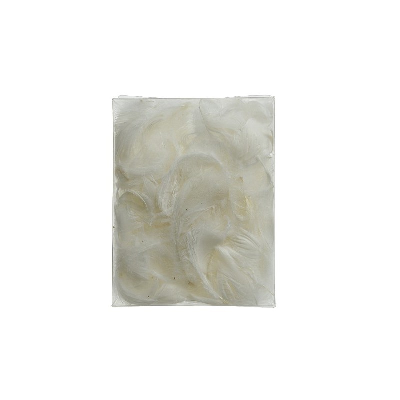 Decoris Veren in zakje wit H5cm