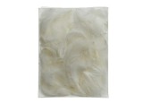 Decoris Veren in zakje wit H5cm