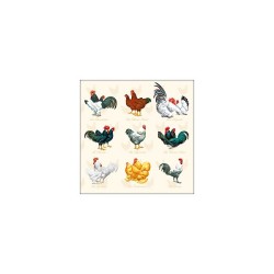 Serviettes Ambiente Wyandotte Crème 33x33cm