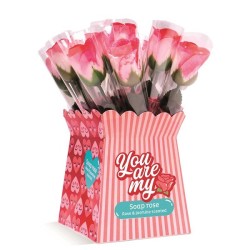 Source Balance -You- badconfetti roos 4 gram