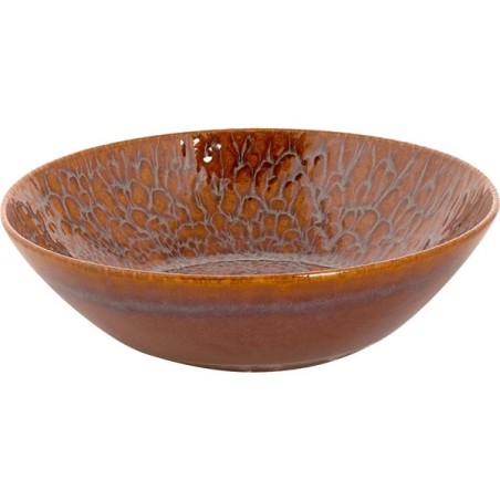 Plat Palmer Magmatic 17cm coupé marron boîte de 6 pièces