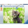 Ravensburger Chaton dans le pré puzzle 500 pièces