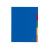 Kangaro Tabblad A4 Venster PP 120 Micron Assorti 23-gaats 5-deligbr