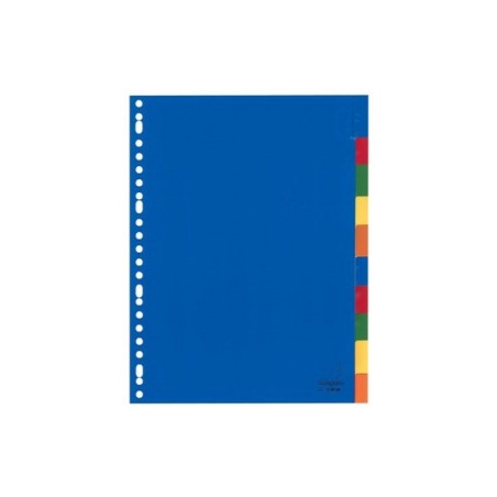 Kangaro Tab A4 fenêtre PP 120 microns assortis 23 trous 10 pièces