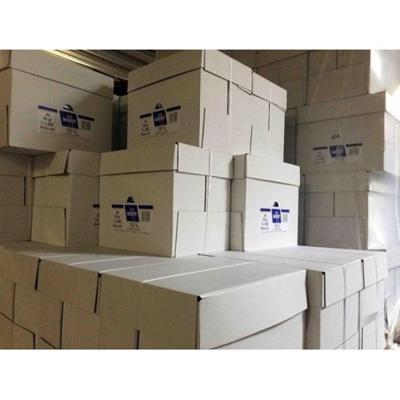 Papier à copier blanc A4 80gr a500 5pack