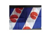 Friese vlag Friesland 40 x 60 cm
